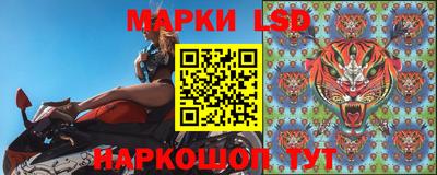 стаф Дубна