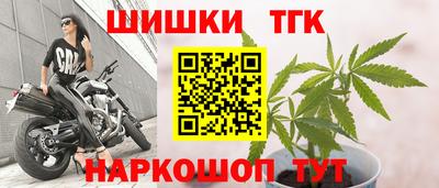 стаф Дубна