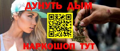 стаф Дубна