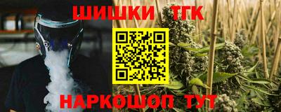 стаф Дубна