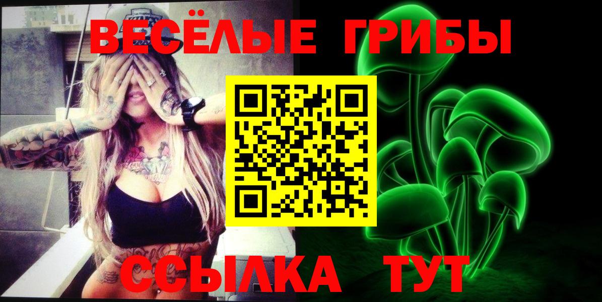 хочу наркоту  Вход с VPN  Луга  Псилоцибиновые грибы мухоморы  Галлюциногенные грибы GOLDEN TEACHER 